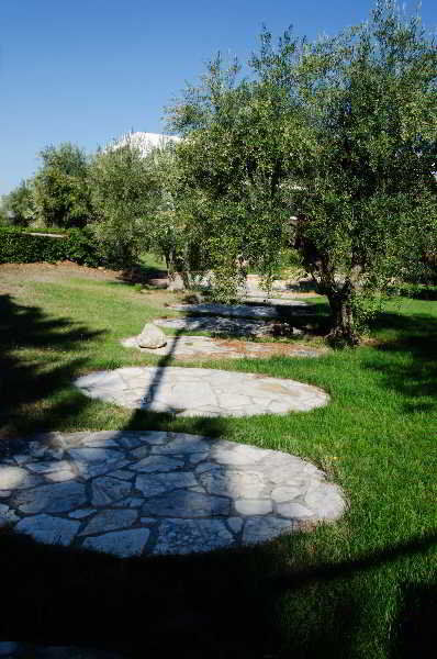 B&B Poggio Delle Ginestre Rutigliano Eksteriør billede